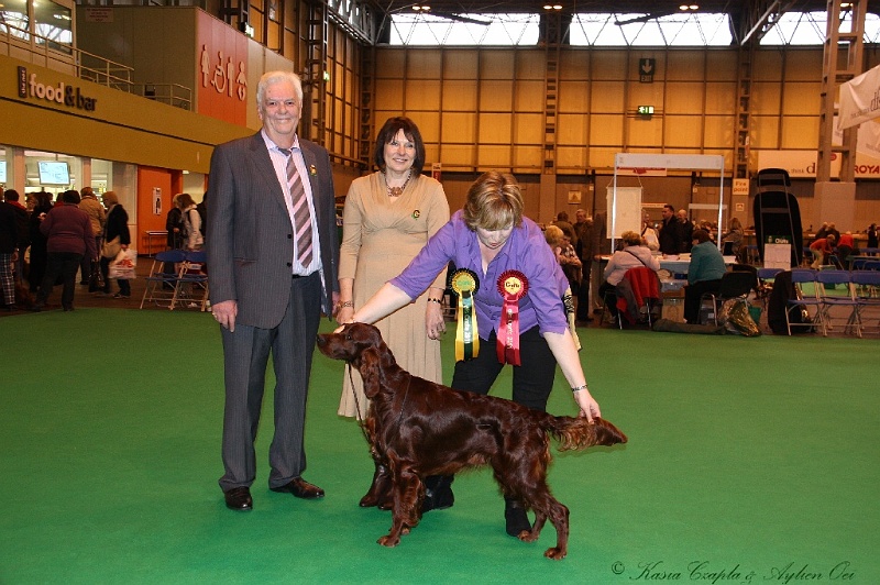 Crufts2011_2 206.jpg